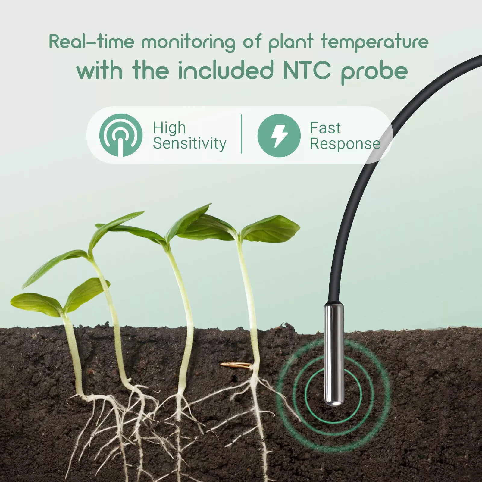 Thumbnail 3 - #7 Best Reptile Heating Mats to Buy In 2026