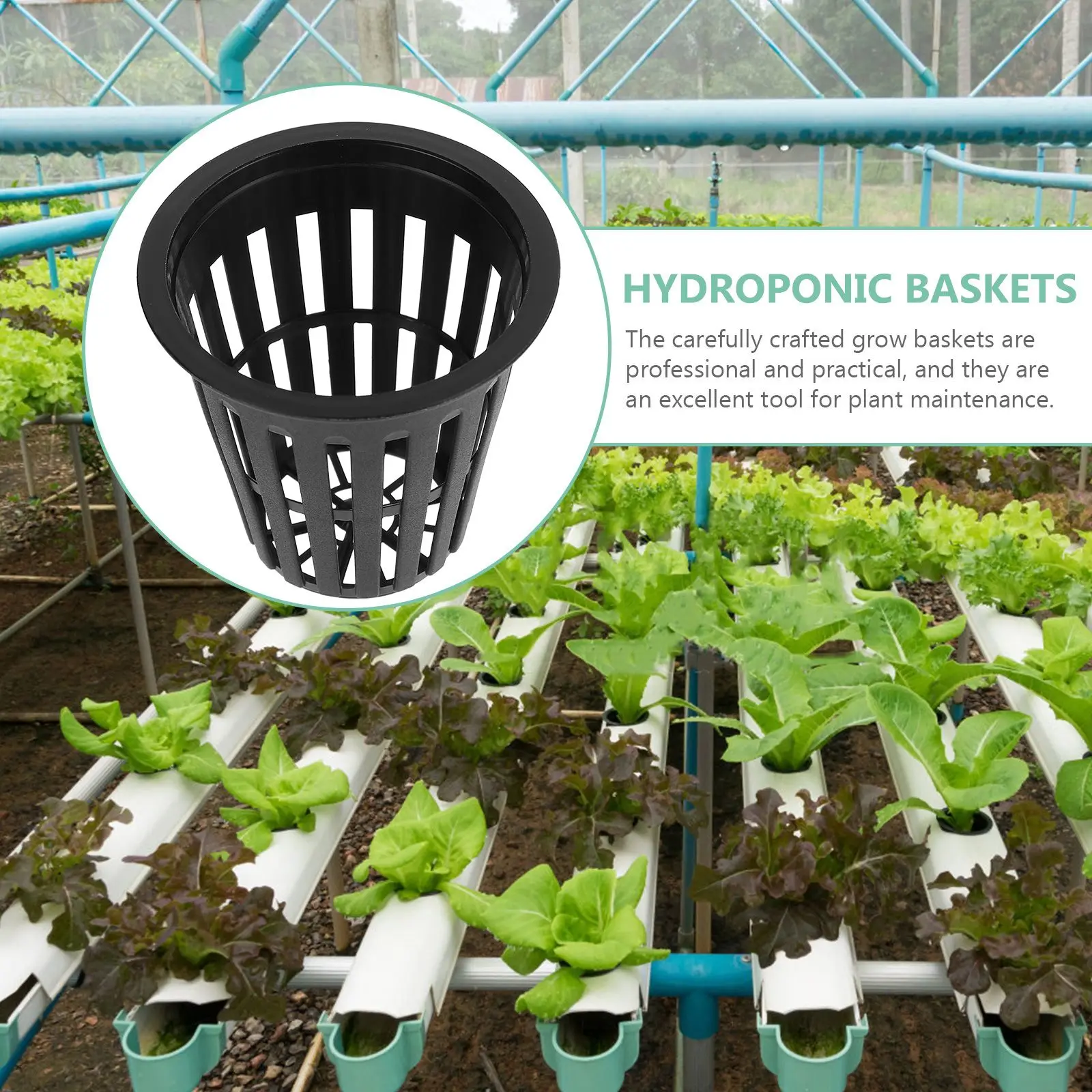 

10 Pcs Hydroponic Planting Basket Net Cups Pots Baskets Fish Tank Planter Plastic
