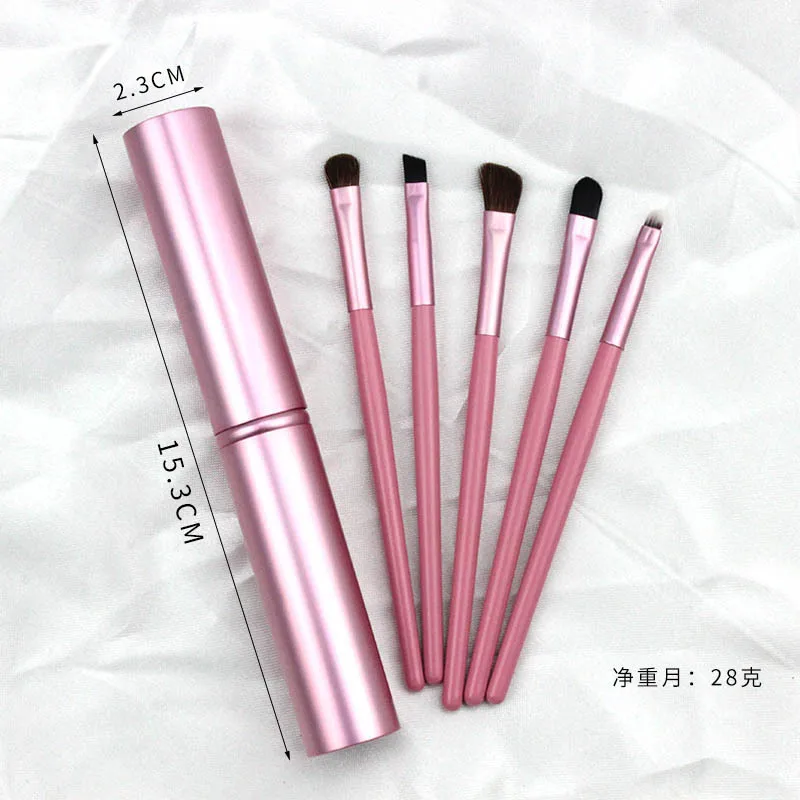 Draagbare 5-delige oogmake-upborstelset - Mini-reiscilinderdoos met oogschaduwmeng- en detailleringsborstels voor beginners (wie