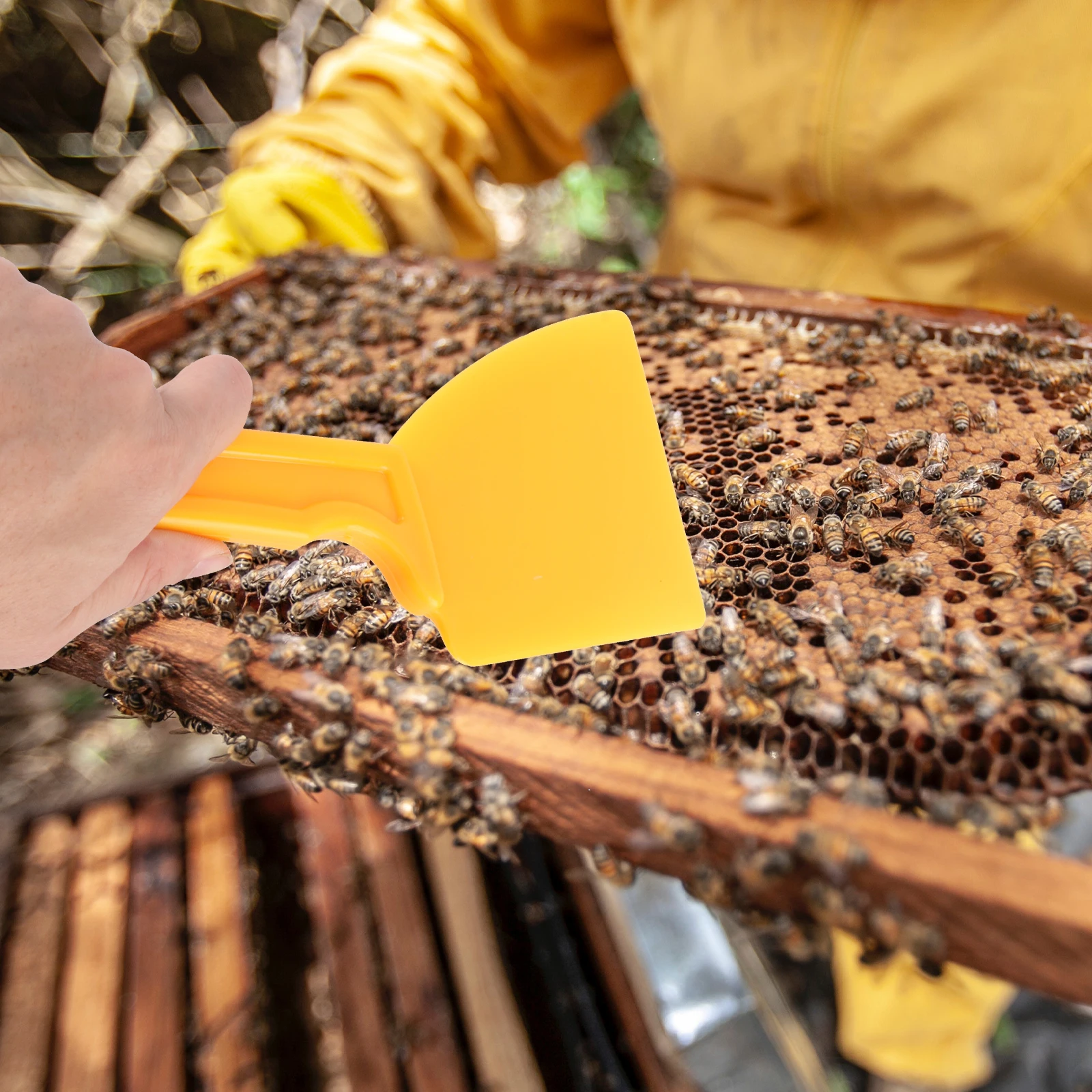 

Honey Scrape Shovel Plastic Scraper Extraction Tools Extractor Beekeeping Collector Equipment Yellow and Supplies