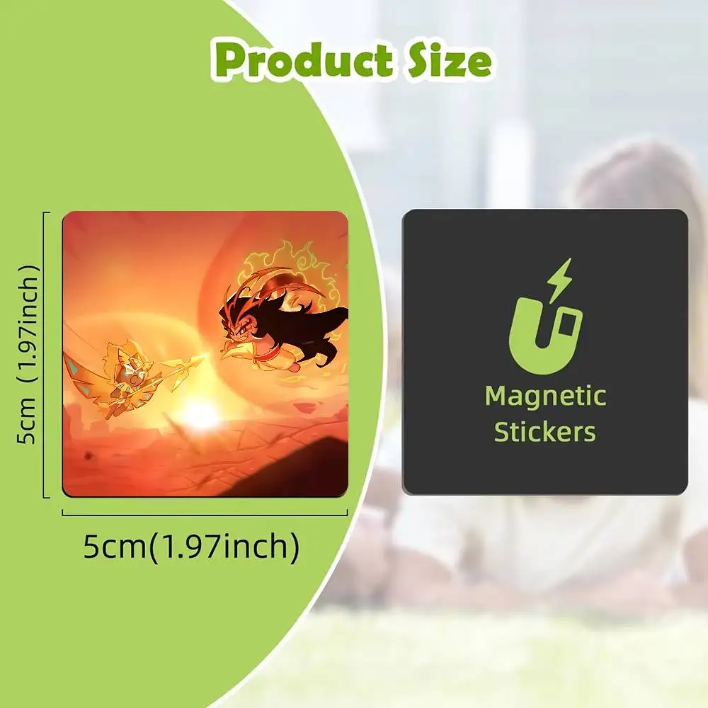 FOR Burning Spice Cookie Fridge Magnetic Refrigerator Magnet Pet Home Decor Kitchen Gift Souvenir Hot Sale