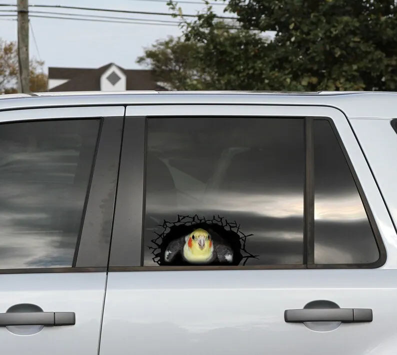 Cockatiel 3D sticker, cracked window decal , funny Cockatiel decal