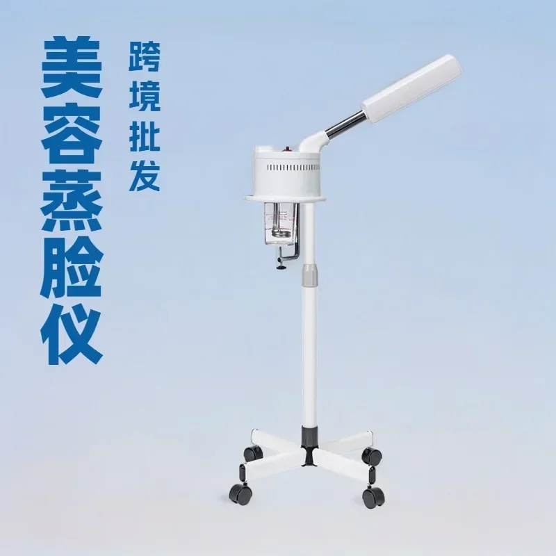Facial hydration instrument, face steamer
