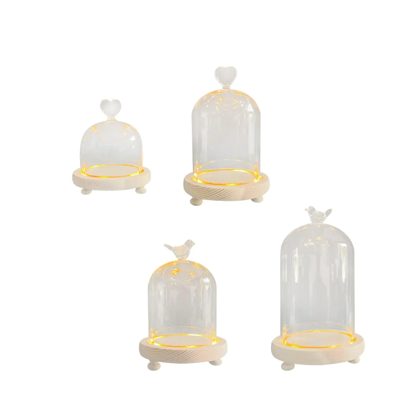 Glass Cloche Dome Party DIY Micro Landscape Holder Clear Bell Jar