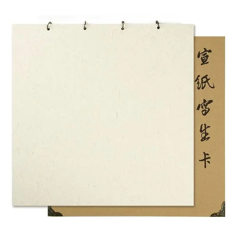 Portable Square Xuan Paper Painting Book Thickened Folded Chinese Painting Calligraphy Practice Xuan Paper Card Books Art Supply