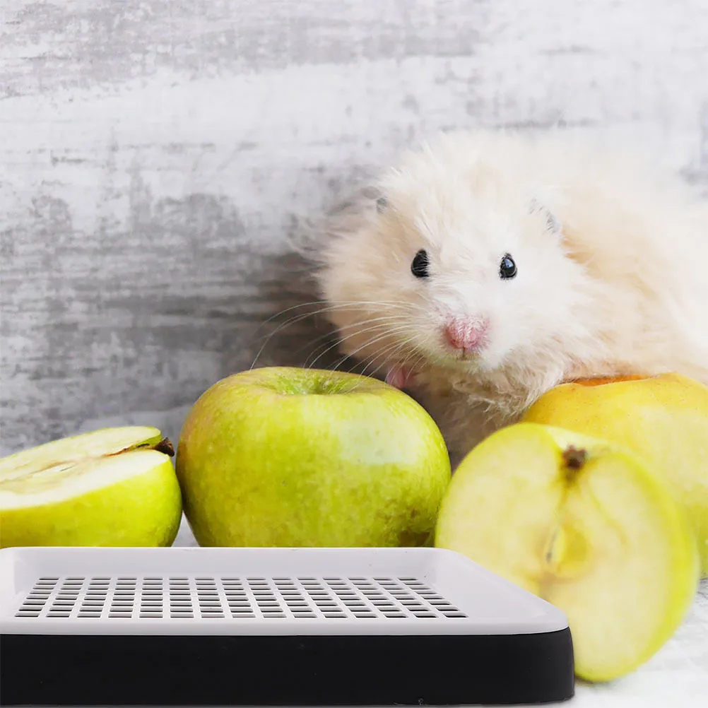 

2pcs Pet Litter Box For Small Animals Portable Toilet With Detachable Grids Large Storage Space Rabbit Hamster Guinea Pig