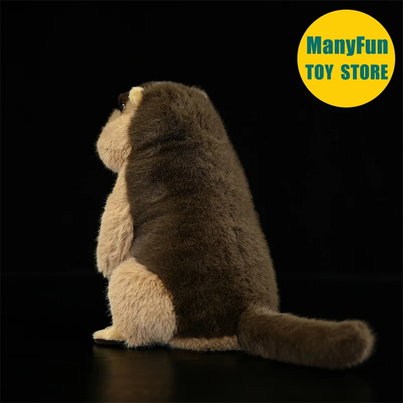 Realistic Groundhog Plush Toy High Fidelity Mountain Beaver Plushie Lifelike Marmot Stuffed Animal Simulation Doll Toy Gift