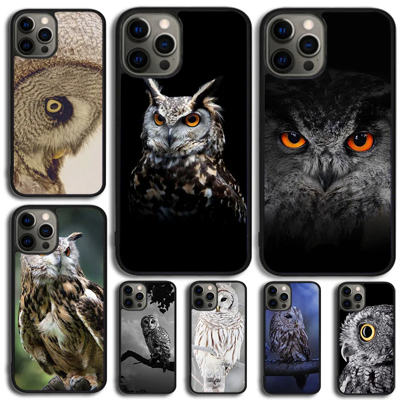 Animal Owl Eyes Pho…