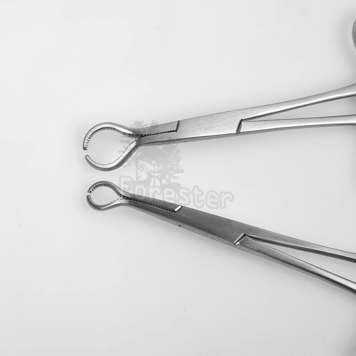 Small Serrated Bone Holding Forceps Mini Serrated Orthopedic Clamp Small Bone Forceps Veterinary Orthopedics Instruments