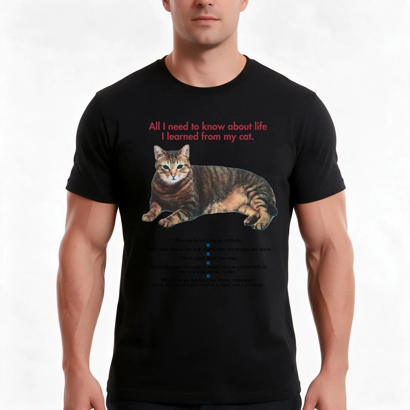 All I need to know about life I learned from my cat T-Shirt, Summer Casual Cotton Tee, Oversized Streetwear Tops, 100% Cotton