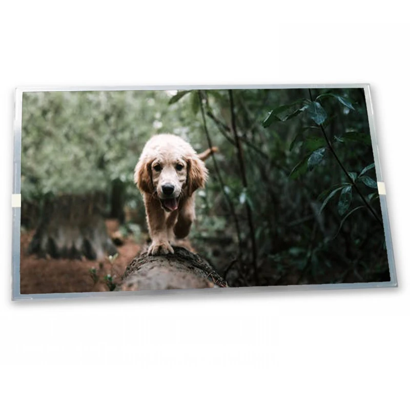 

G133HAN02.0 13.3inch 1920*1080 TFT-LCD Screen Panel Zhiyan supply