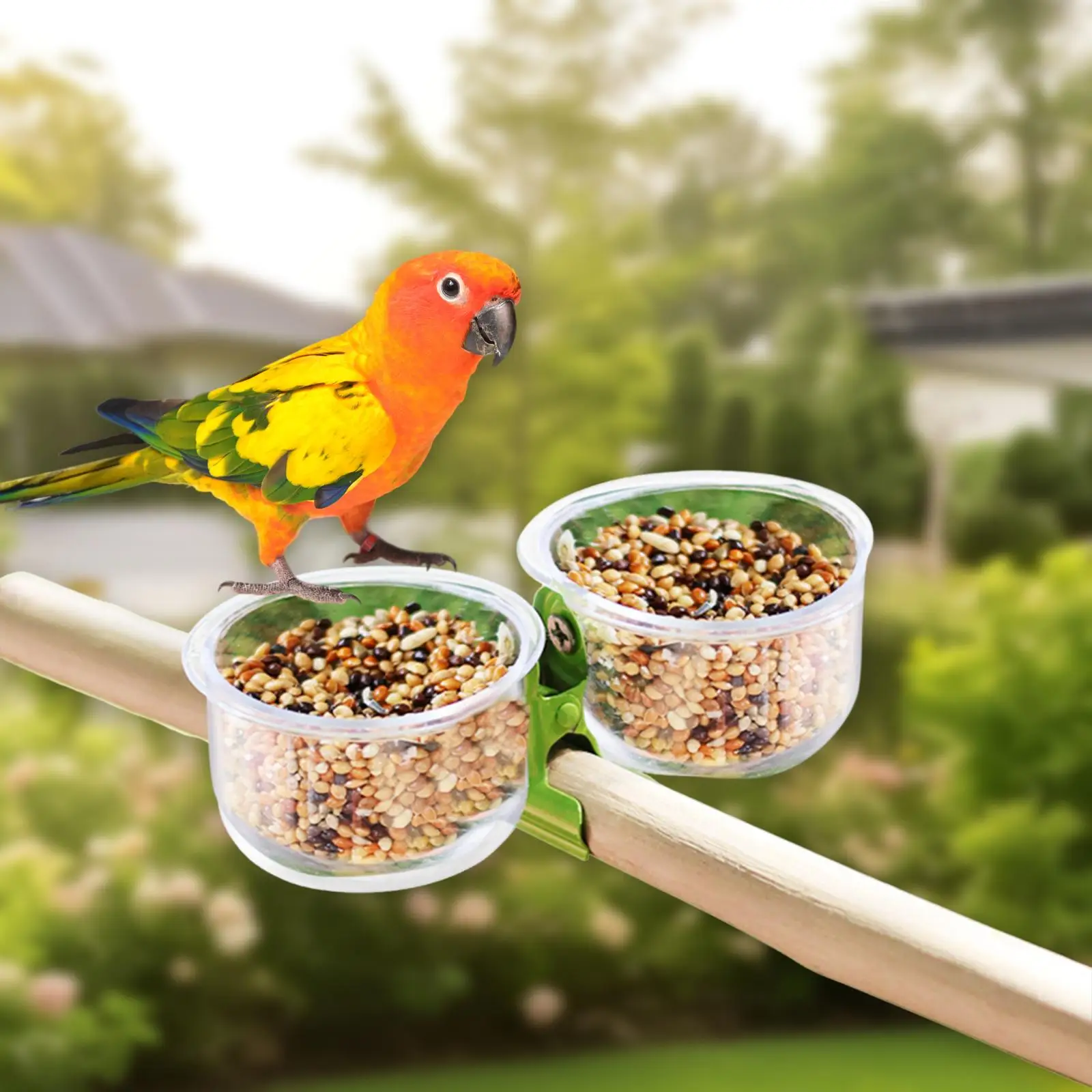 Bird Feeding Cups With Clamp Dishes For Finches African Greys Lovebirds-image