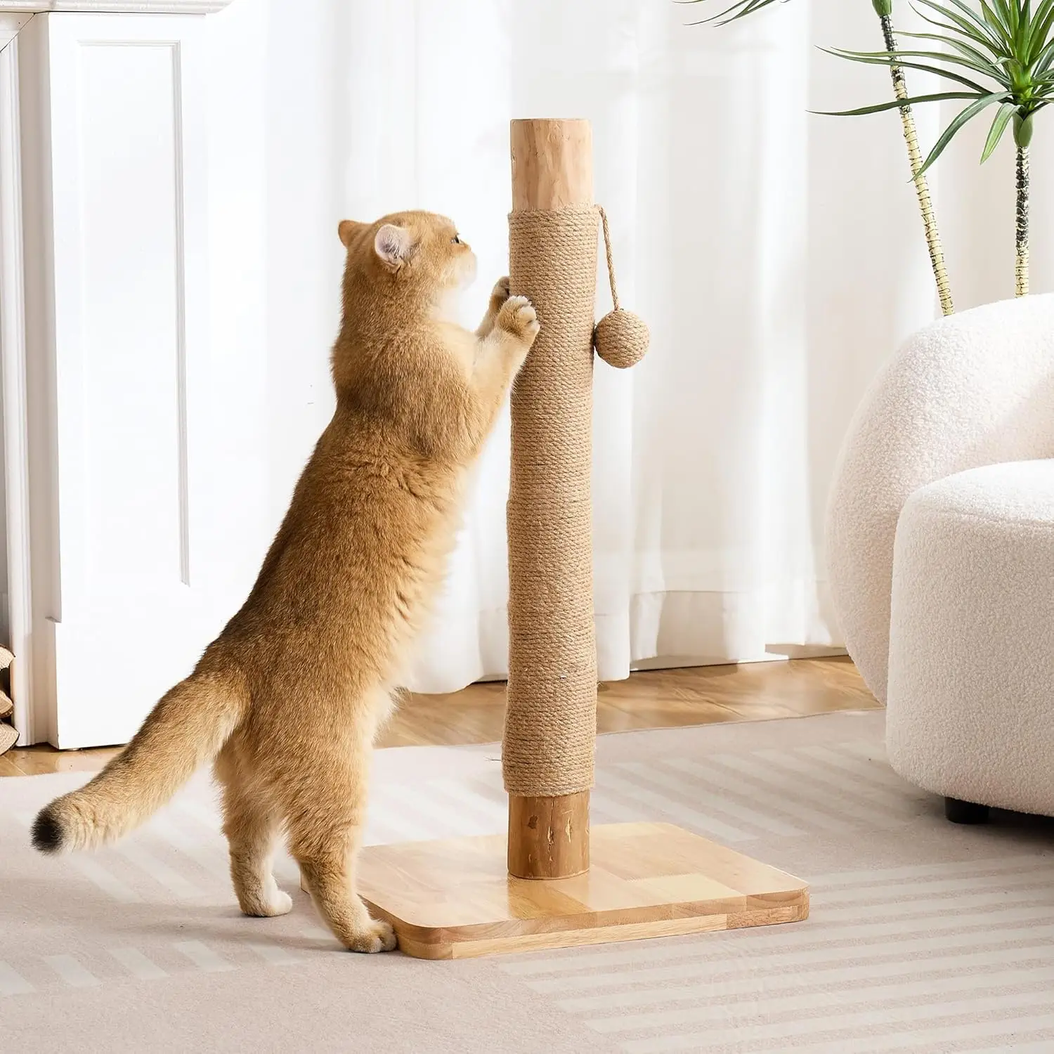 

29" Tall Cat Scratching Post for Indoor Cats Adults, Extra-Stable & Natural Solid Wood Scratching Post Sisal Scratcher w