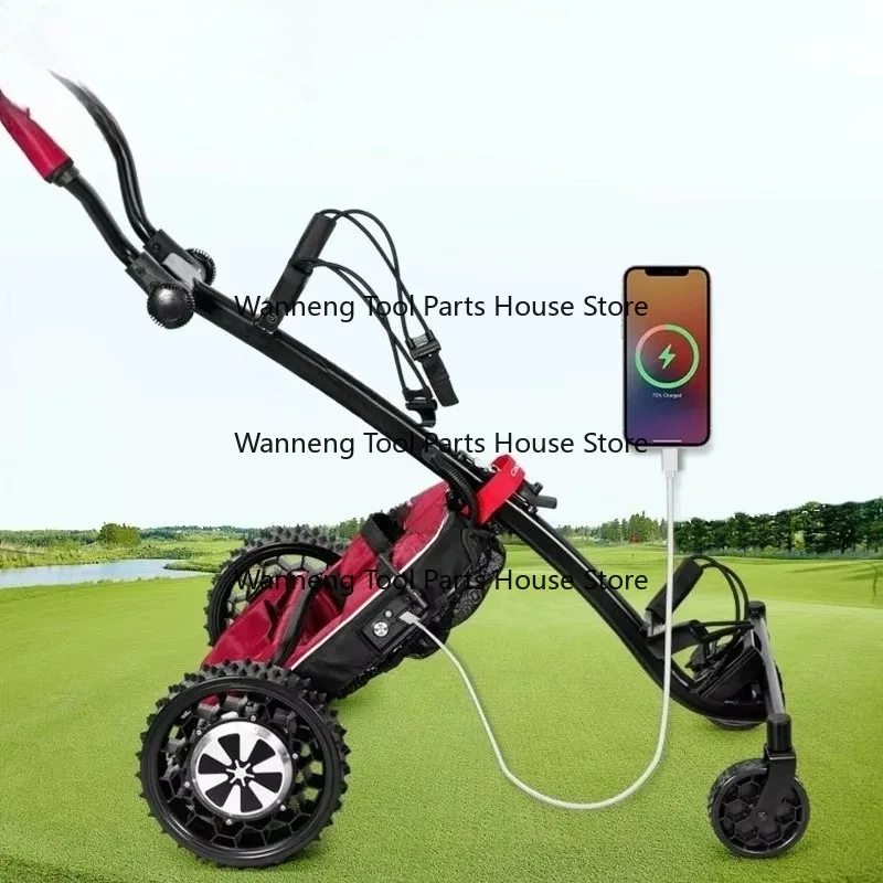 Custom Foldable Remote Control Electric Golf Cart