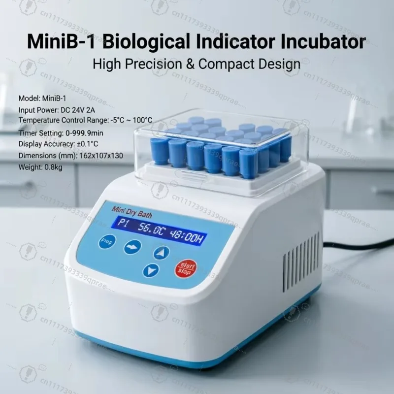 Biological Indicator Incubator Scientific Dry Bath Incubator B80 LED Display for Medical Lab Use Hospital Oral Testing Equipment