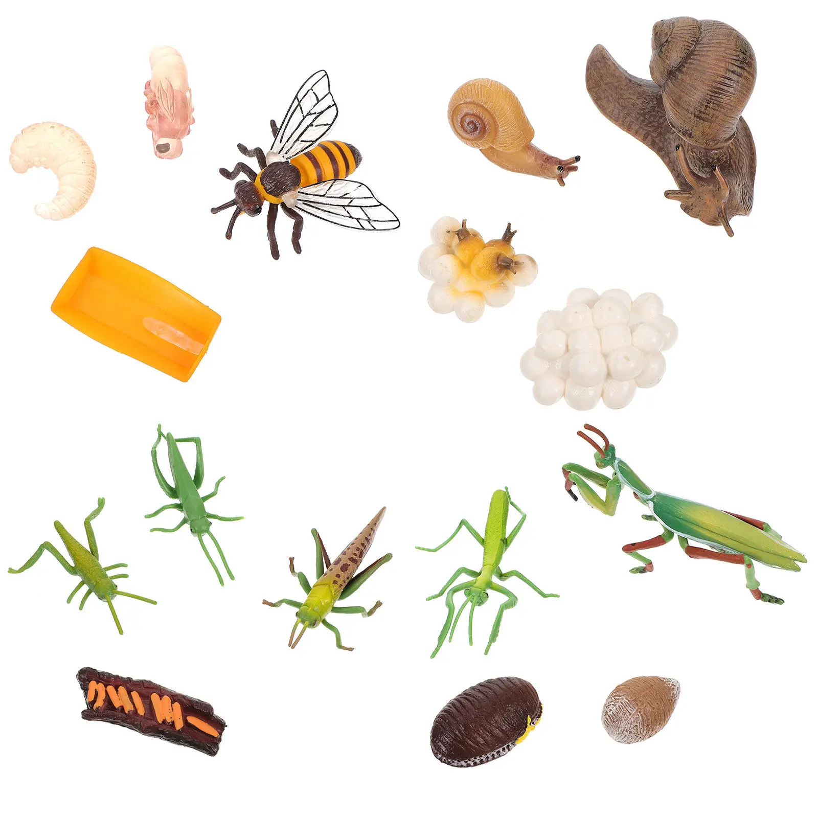 

4Sets Premium Insect Growth Cycle Educational Models Vivid Simulation for Science Classrooms Kindergarten Teaching