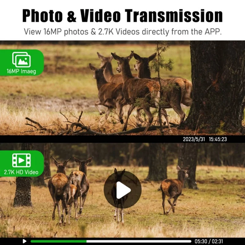 New-3X 4G بطاقة Sim LTE الخلوية 4W الشمسية 7800Mah بطارية الصيد درب الحركة المنشط للرؤية الليلية 4MP IP66 كاميرا (الاتحاد الأوروبي)