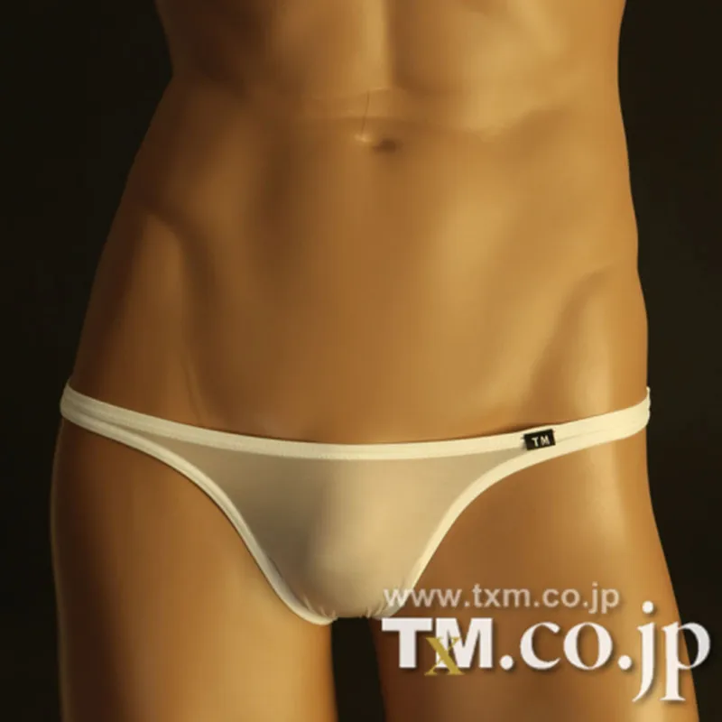 Men Low Rise Nylon Briefs, Silky Thin Breathable Stretch Triangle Underwear, Comfort Sexy Male Panties