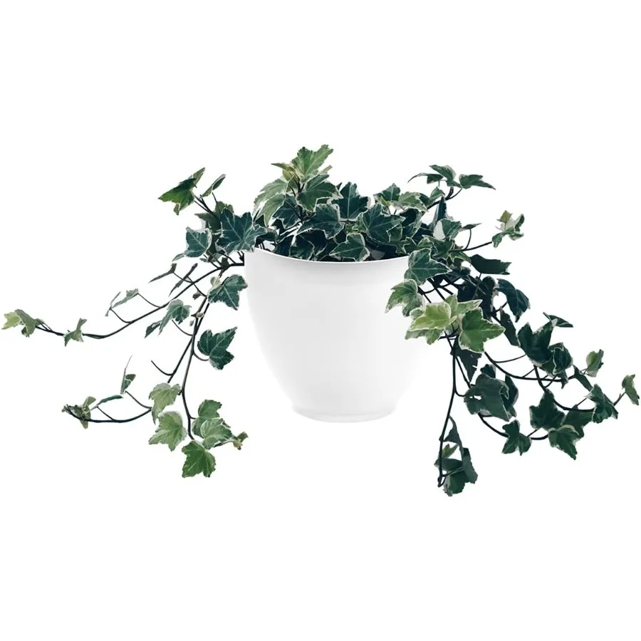 20,3 cm weißer Wandpflanzgefäß zum Aufhängen, Kunststoff-Gartentopf für den Innen- und Außenbereich für Blumenkräuter, einfache Montage