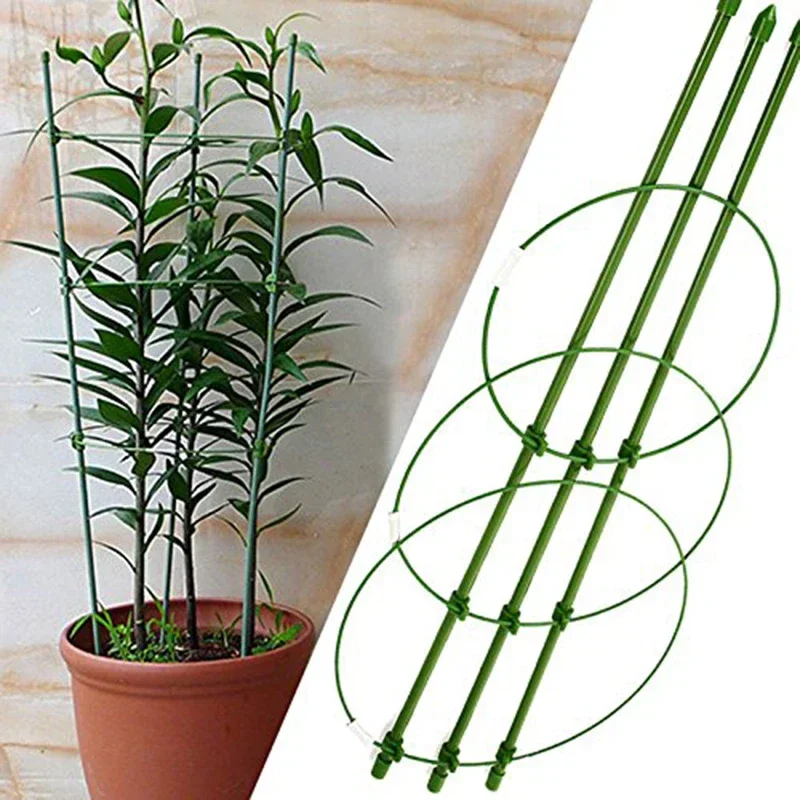 Durable Creative Vine Climbing Rack 60cm Flower Decorative Gardening Tools Vegetables Plant Trellis Plant Support Frame Plant