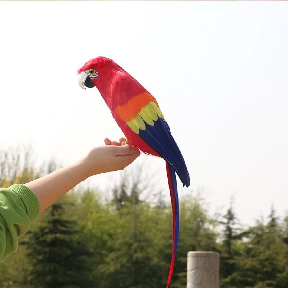 new simulation blue tail parrot model foam and feather red parrot bird gift about 42cm xf2960