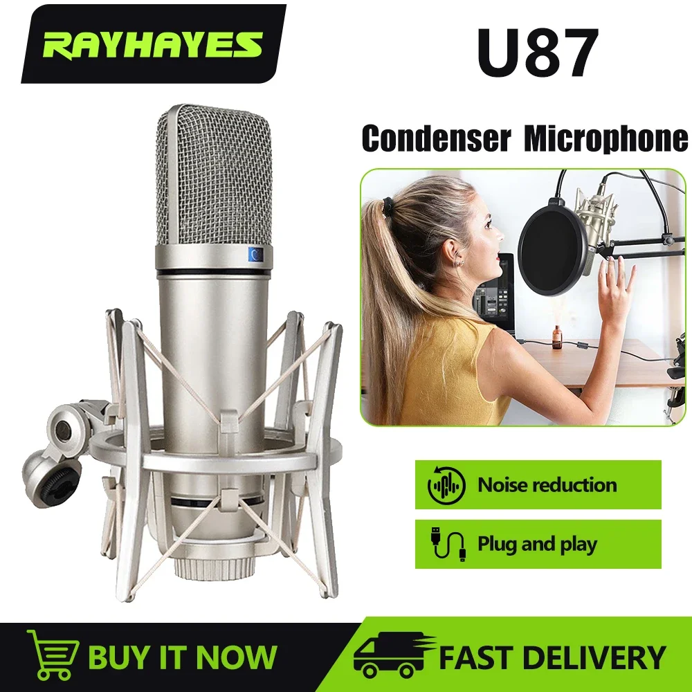 RAYHAYES U87 Condenser Microphone Professional Cardioid Studio Mic for Recording Podcasting Voice Over Streaming Home Studio