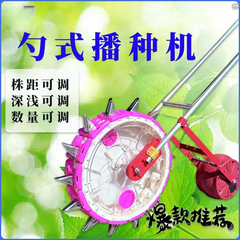 جديد الخضار الجسيمات الصغيرة البذر قطعة أثرية الملفوف الجزرة الكزبرة الاغتصاب الممر السبانخ #2