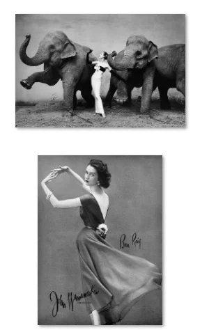 6Style Choose Dovima with Elephants, Art Print Silk Poster Home Wall Decor