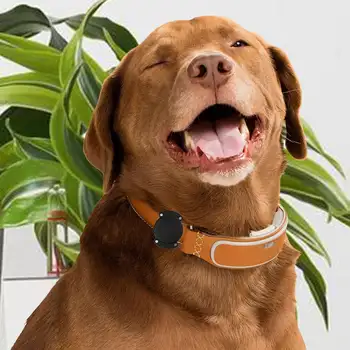 10 best sales Air tag dog collar - №9