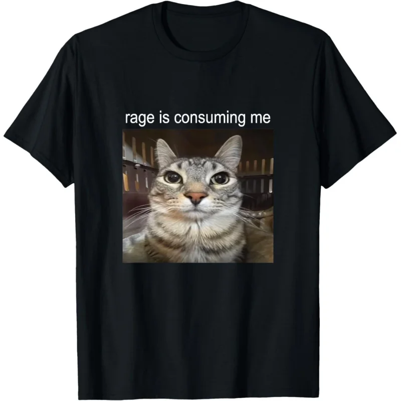 Rage Is Consuming Me Silly Staring Cat Meme T-Shirt