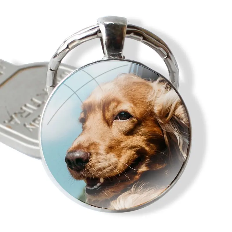 25mm Glass Cabohcon Keychain Key Rings for Women Men Jewelry Gift Cocker Spaniels dog puppies Poster