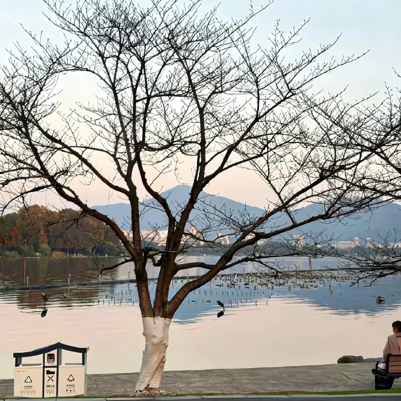 

Caddx Walksnail Avatar HD Nano Kit V3 - 1080P/60fps, 160° FOV, 32G Built-in, 9cm/14cm Cable, 14X14mm, for FPV Systems