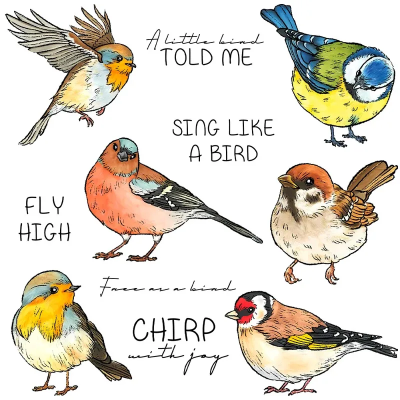 Cute Fatty Sparrow Birds Cutting Dies Clear Stamp DIY Scrapbooking Metal Dies Silicone Stamp For Card Crafts Decor
