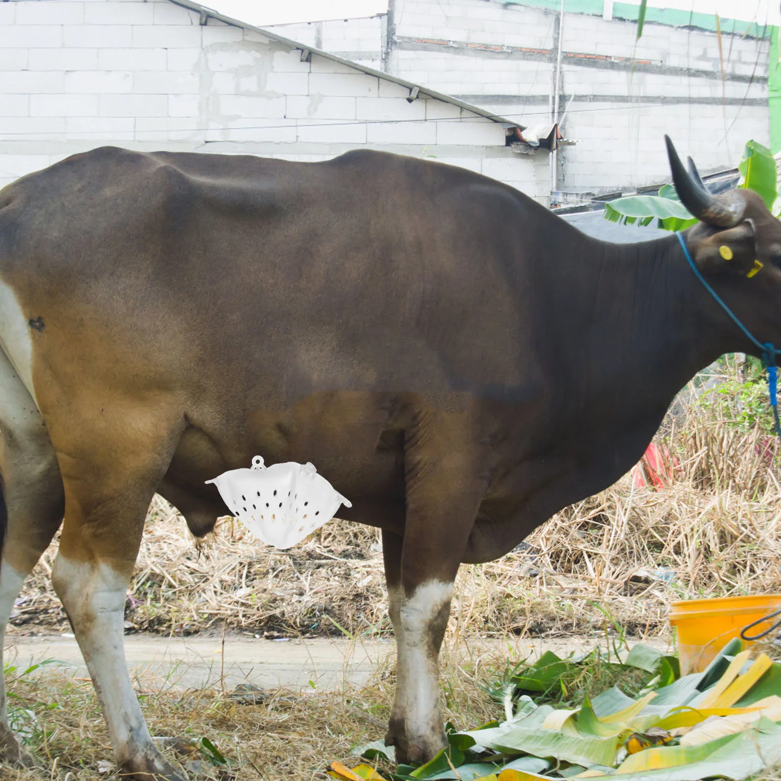 

Adjustable Weaner Humane Livestock Device For Cattle Farm Portable Cow Weaning Equipment Durable Plastic Calf Weaning Device