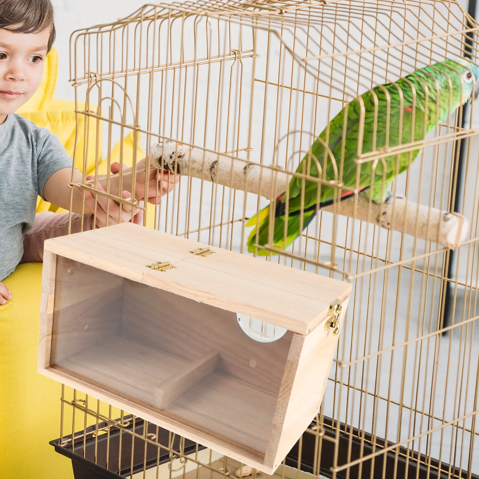 

Small Medium Beige Birdhouses Kit Parakeet Nest Cage Transparent Breeding Box Wood Acrylic Outdoor Hang Parrot