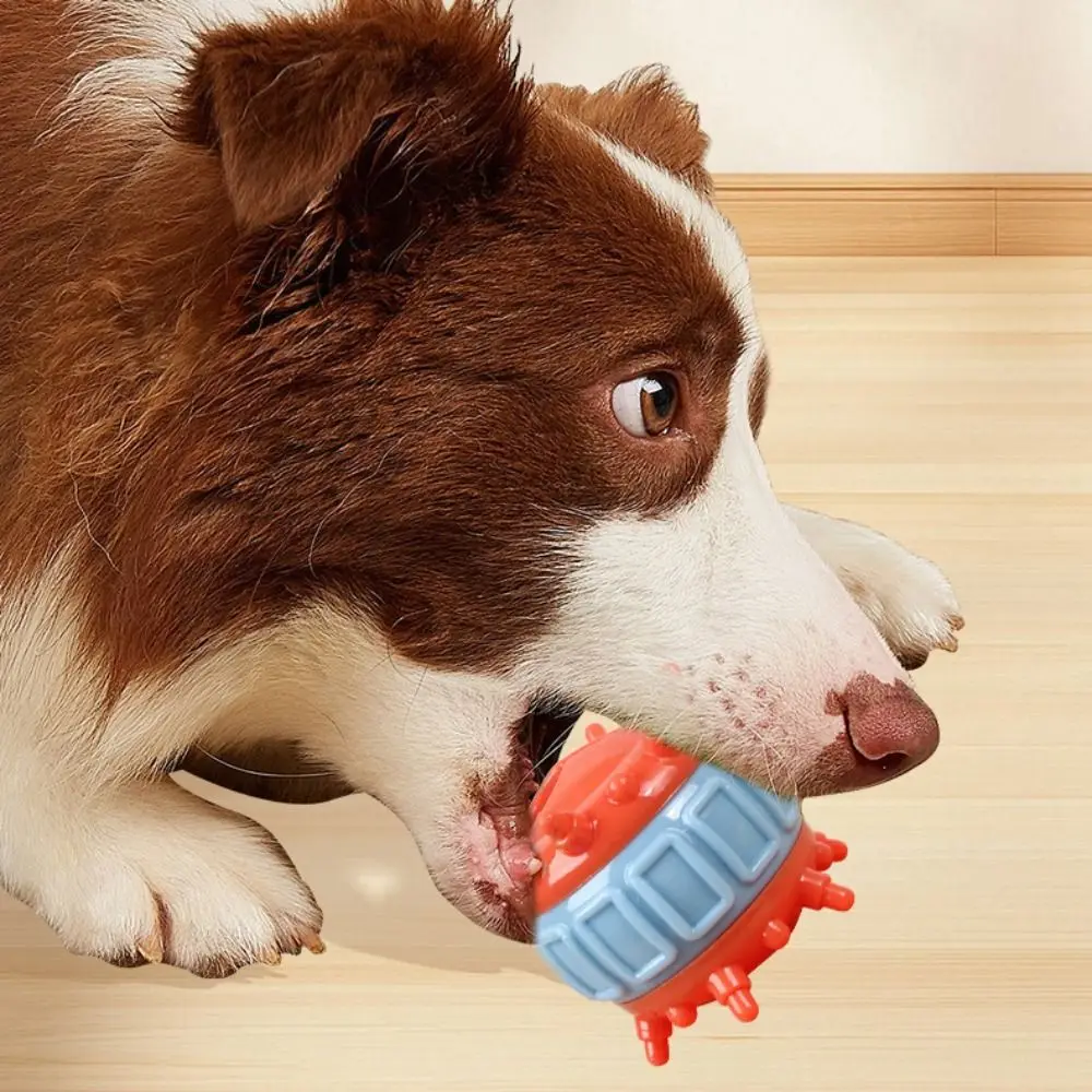 4 Pcs/set Bite Resistant Interactive Dog Toys Wear Resistant Colorful Teeth Cleaning Toy TPR Dog Food Dispensing Toy Indoor Play