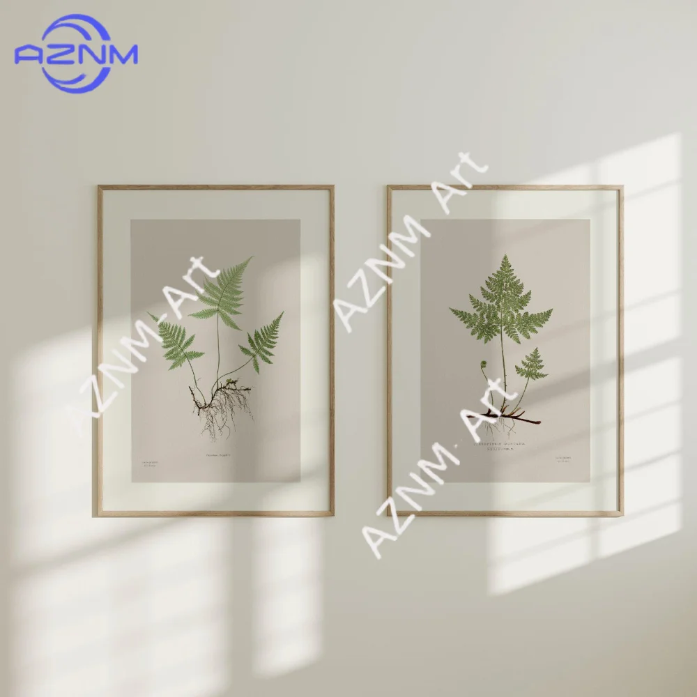 1/2Pcs Antique Botanical Illustration Prints | Two Green Fern Leaf Drawing Posters, Plant Wall Art, Neutral Artwork, Home Decor