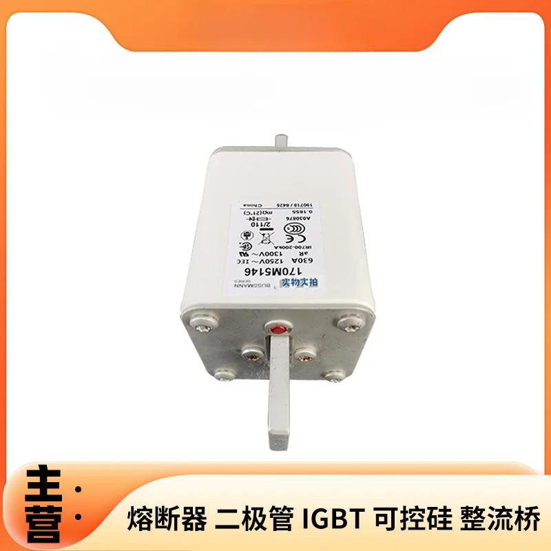 

Low Voltage Fast Fuse 170m5146