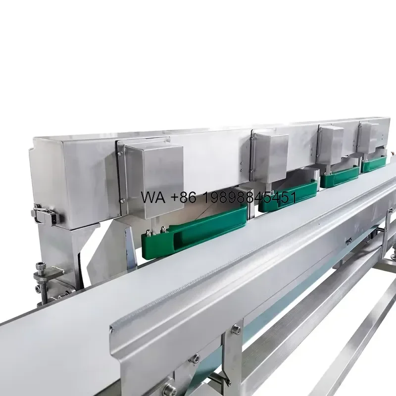 Wmwmnu for Meat Seafood Fish Sorting Multifunctional Automatic Conveyor Belt Scale Classifier Water Proof Grading