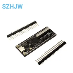 Sipeed Lichee Tang Nano Minimalist FPGA Development Board Straight Insert Breadboard