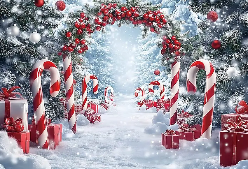 Mehofond-telón de fondo mágico de Nochebuena para niños, bosque, poste Norte, fiesta, escenas de ventana, decoración, muñecos de nieve, estudio de fondo