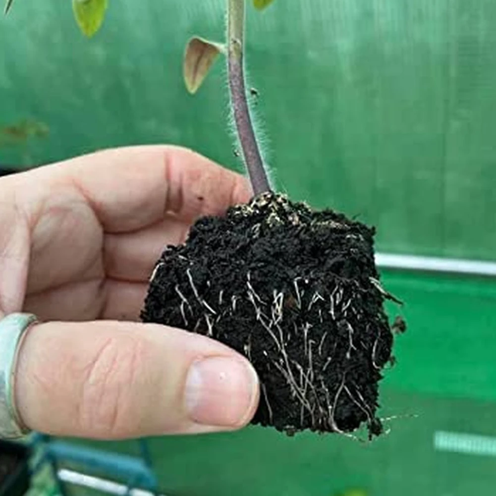 Soil Block Maker: Essential Gardening Tool For Success Soil Block Maker Garden Handheld -Seedling Starter Tool For Planting