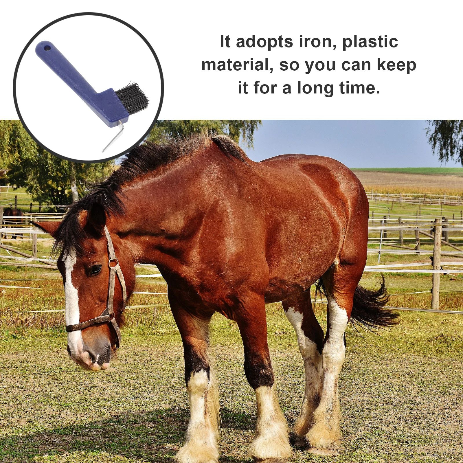 

Hoof Stainless Steel Durable Brush Soft Grip Handle Portable Cleaner Grooming Tools Care Brushes Horse Hoof