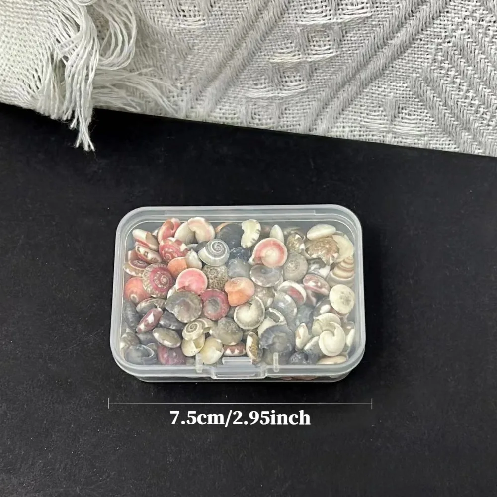 2 cajas de 11 variedades de colección de mini conchas de mar, especies mixtas para manualidades, joyería y decoración de acuario