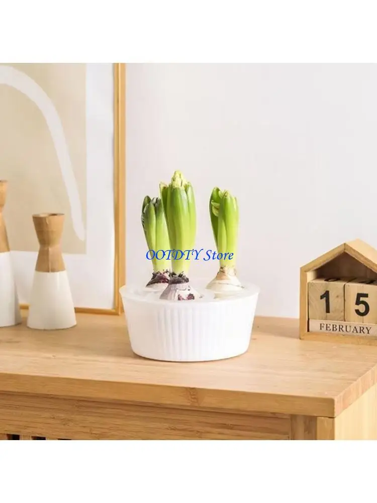 367A 3 Section Plastic Hyacinth Hydroponic Planter With Divider For Indoor Gardening