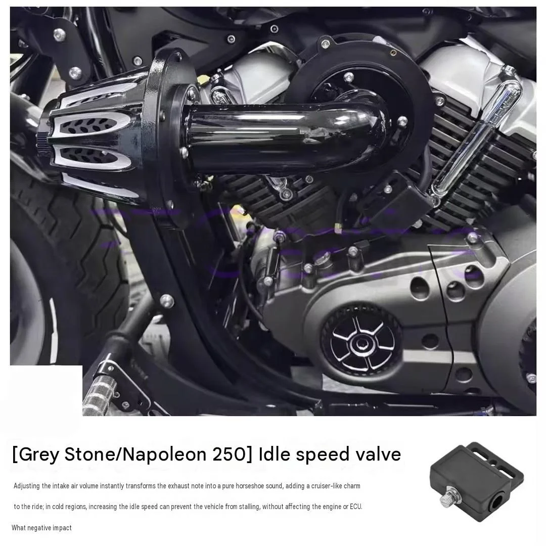 Motorcycle Engine Idle Stabilizer Idle Air Control Valve  For Benda Napoleon Bob 250