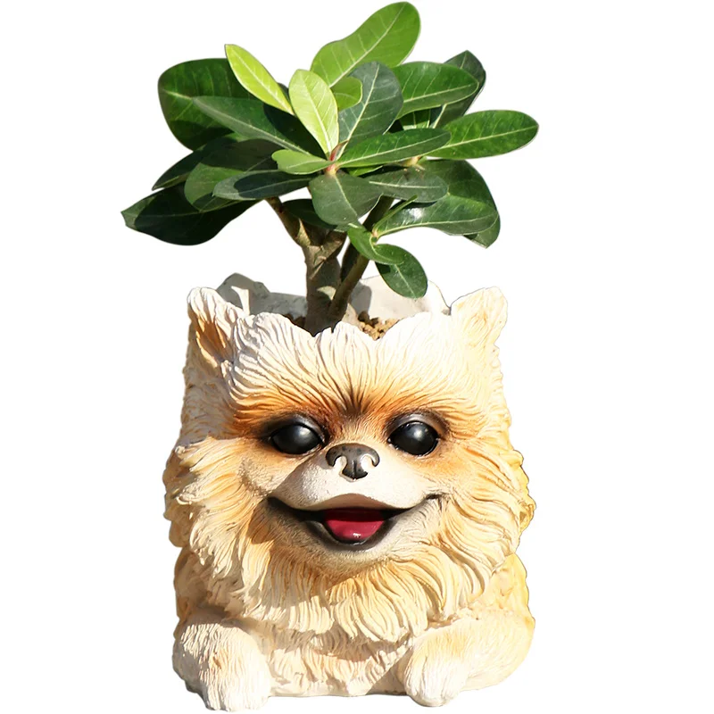 Human head green flower pot more meat tree people plant pots Galaxy guards creative Grout home decoration