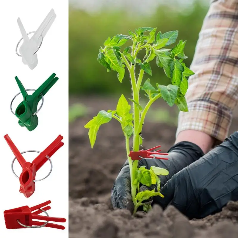 Grafting Clips Eggplant Grafting Clamp Houseplant Support Clips for Cucumber Eggplant Tomato Watermelon Gardening Tool