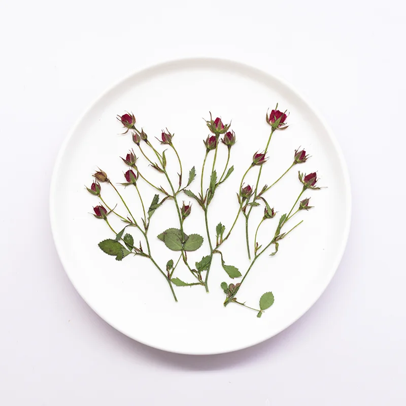 Resin Art With Rose - 12pcs,Dried Rose Multi Bud Branches Pressed