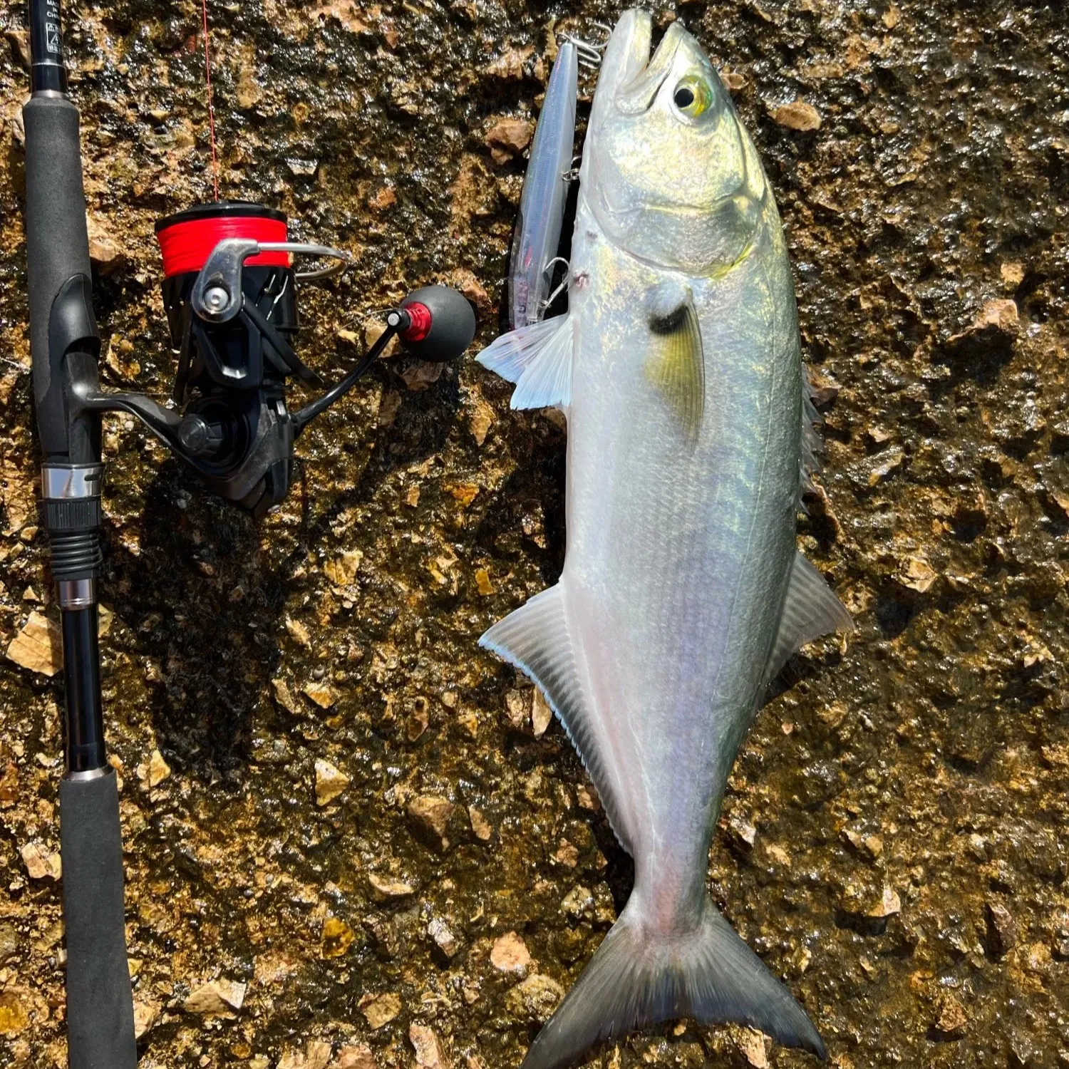 NEUER 145/160mm Flash Blade Floating Minnow Angelköder 27/32g Weitwurf-Wobbler Silent Assassin 160F Köder für Wolfsbarsch und Bonito – Detail 9